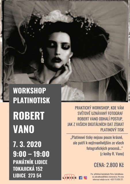 WORKSHOP PLATINOTISK - ROBERT VANO 